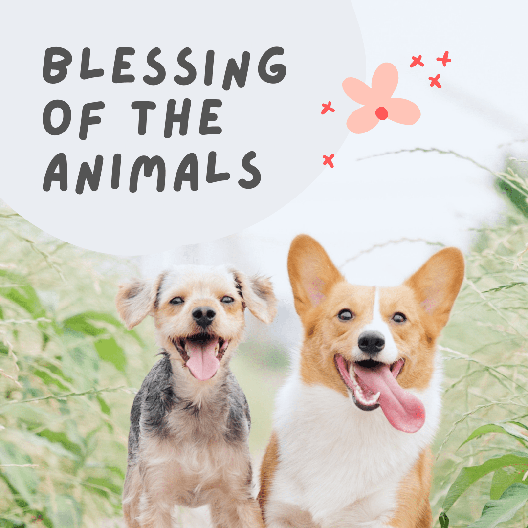 Blessing of the Animals